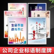 壁挂炉出LD乐动体育现漏斗图案(威能壁挂炉漏斗图标闪烁)